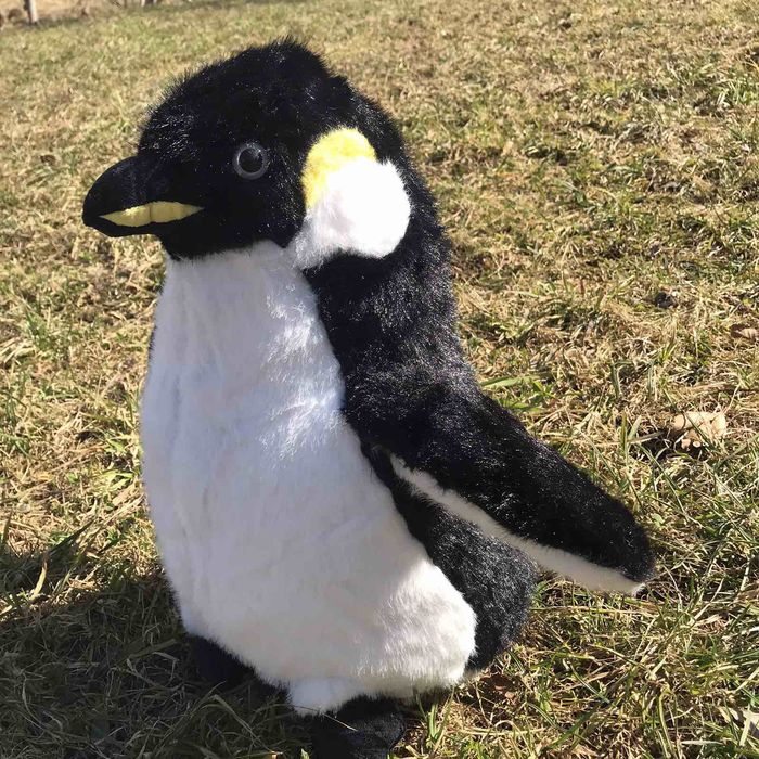 Топові м'які ігрушки