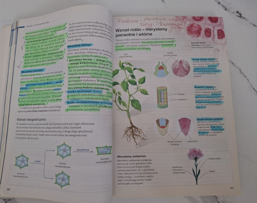 Biologia na czasie 2