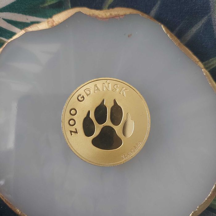 Medal, moneta pamiatkowa  Zoo Gdańsk. Zebra