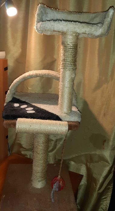 Aranhador unhas gatos