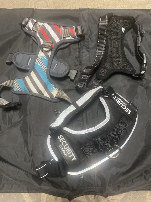 Шлеі для собак + нашийник