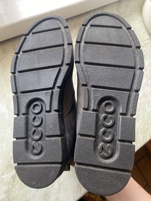 Ботинки діночі ecco 36