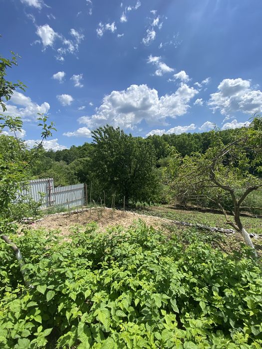 Продаж будинку,Шепеля(старе місто)