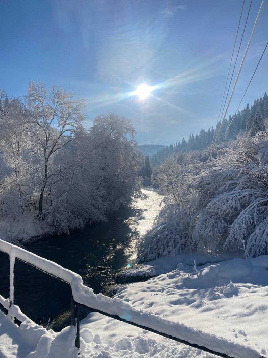 Лісова казка у пані Стефанії  Котедж , відпочинок в Карпатах, Славське