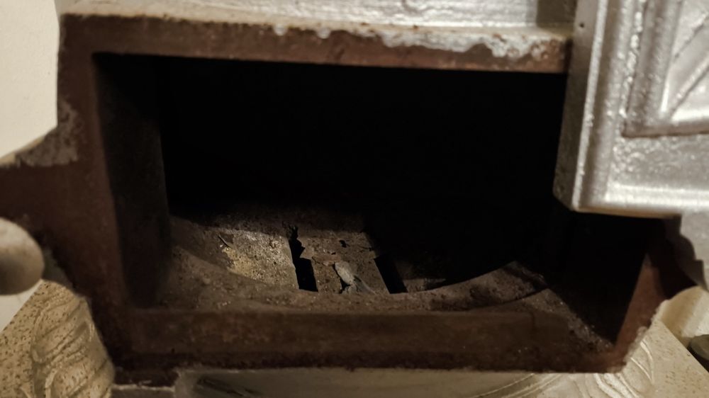 Salamandra como nova