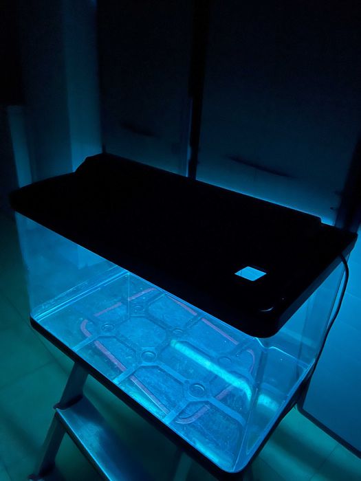 Aquário Rectangular