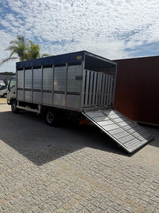 Toyota dyna transporte de animais vivos
