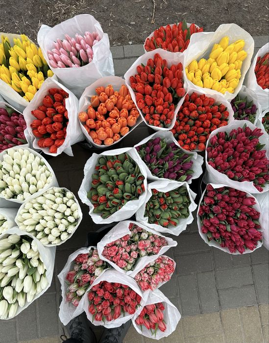 Тюльпани Розница/Опт/ Гурт