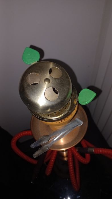 Chicha red camel