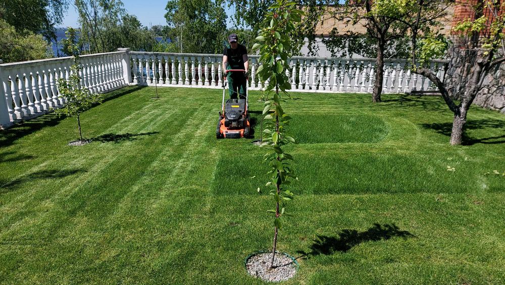 Садівник Озеленення Стрижка Топіар Полив Газон