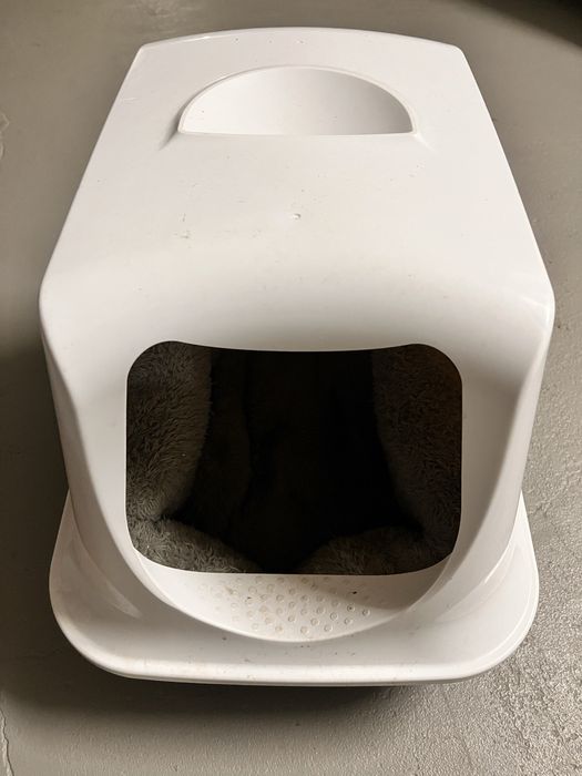 Casa + Almofada (Gato/a)