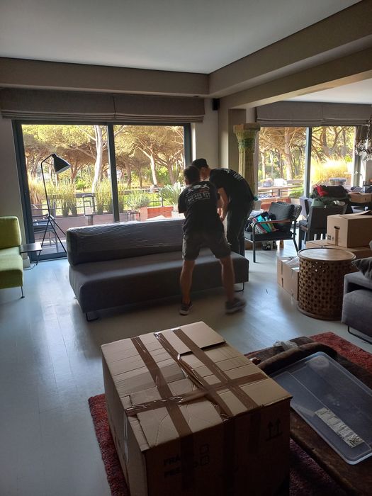 Mudanças e Transportes, Multi Serviços