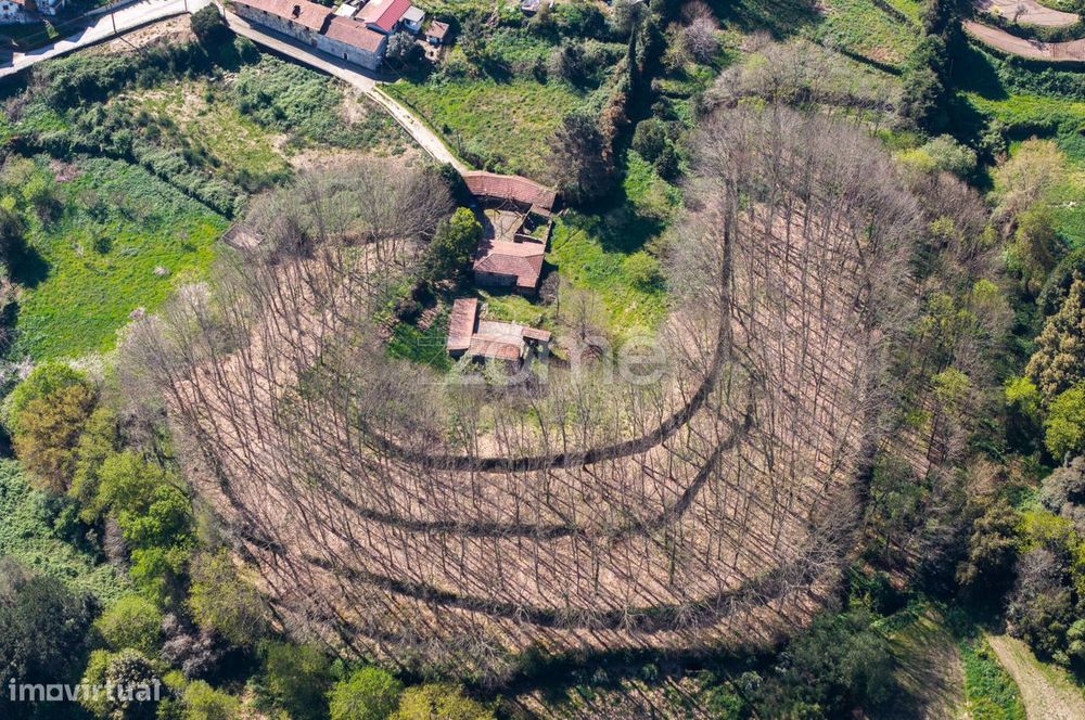 Quinta do Património: Um Legado Vivo no Vale do Mosteiro de Cete