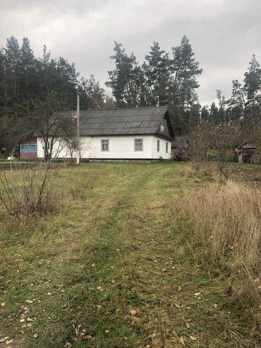 Продам будинок в смт. Соснове