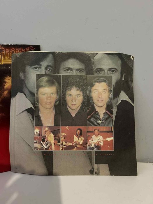 Bee Gees Spirits Having Flown Winyl