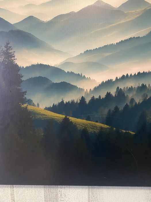 Продам картину еко - холст 120 см на 80 см преміум + лак