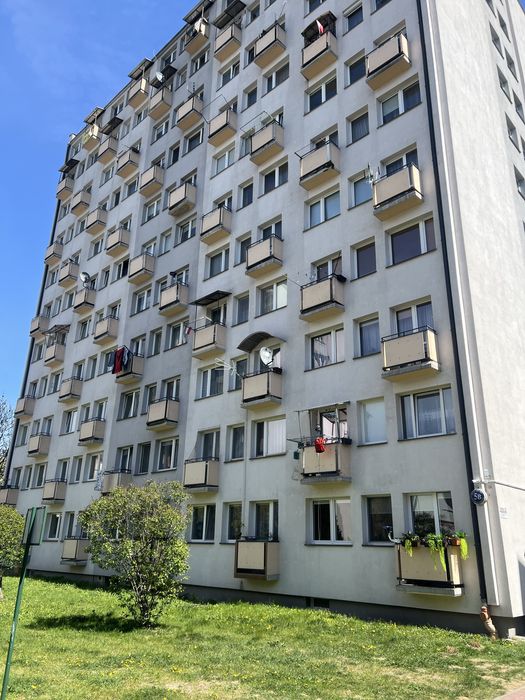 Zdjęcie 3