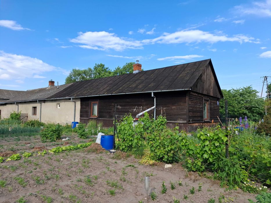 Siedlisko na działce 6900m2