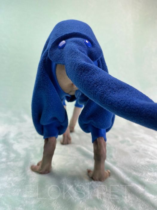 Теплий Одяг для котів і кошенят сфінкса девон рекс свитер для кота