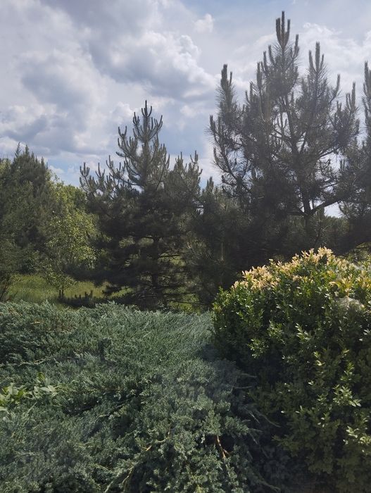 Продам в тихом красивом месте Нововодолажском района  дом  с ставком