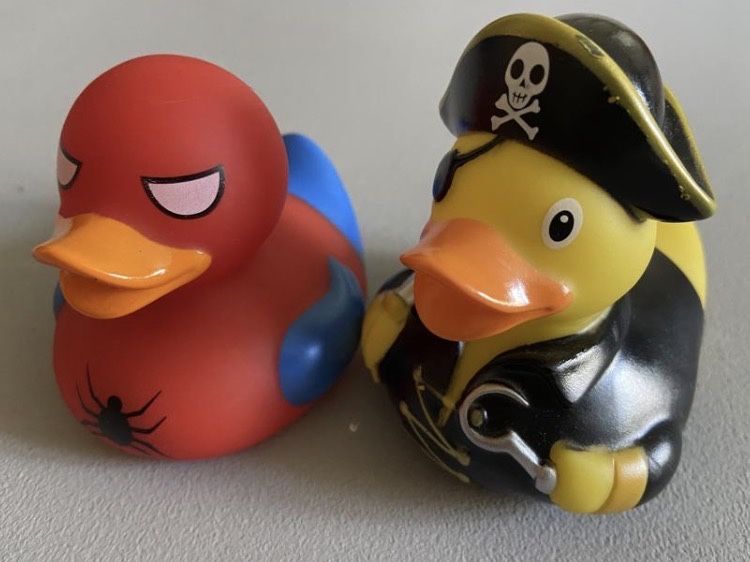 Funny ducks , качка  -  пірат