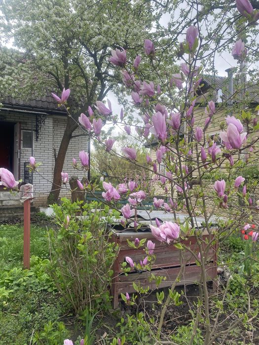 Продам цегляний будинок в Макарові центр