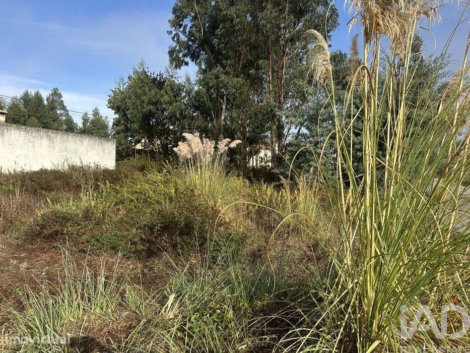 Terreno em Requeixo, Nossa Senhora de Fátima e Nariz de 310,00 m2