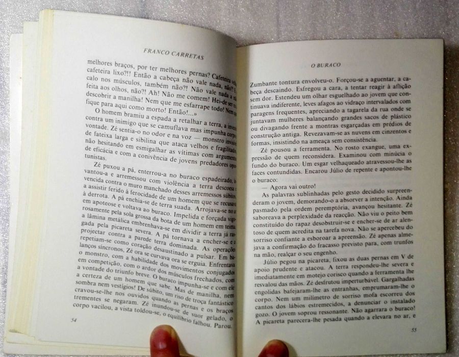 Livro O Buraco (contos)