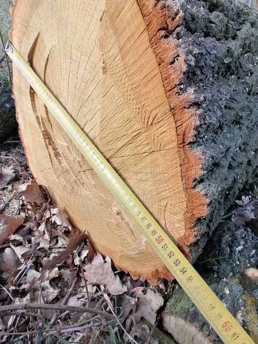 Sprzedam kłode dębową