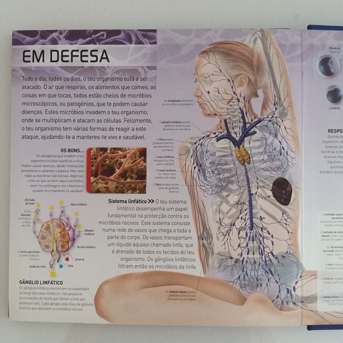 Estou vivo, livro pop-up