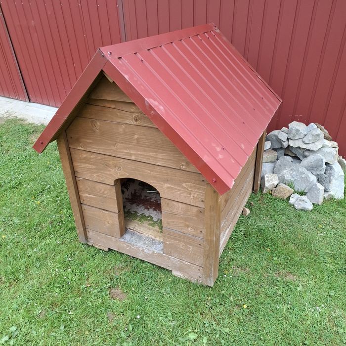 Buda Domek dla Psa
