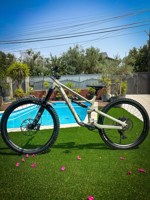 Canyon Torque Mullet 7