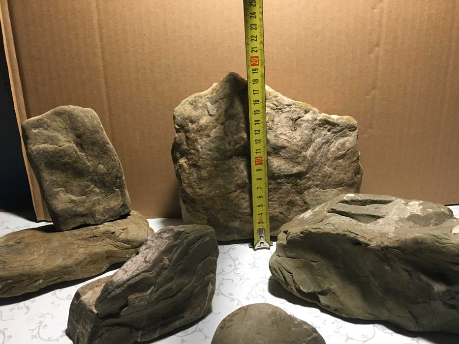 Зоотовари для дизайну тераріум