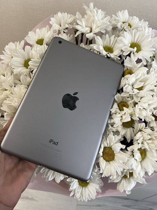 Apple iPad mini з пам'яттю 16GB