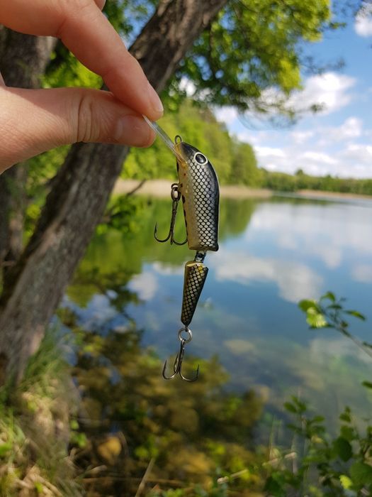 Wobler łamaniec troć pstrąg głowacica