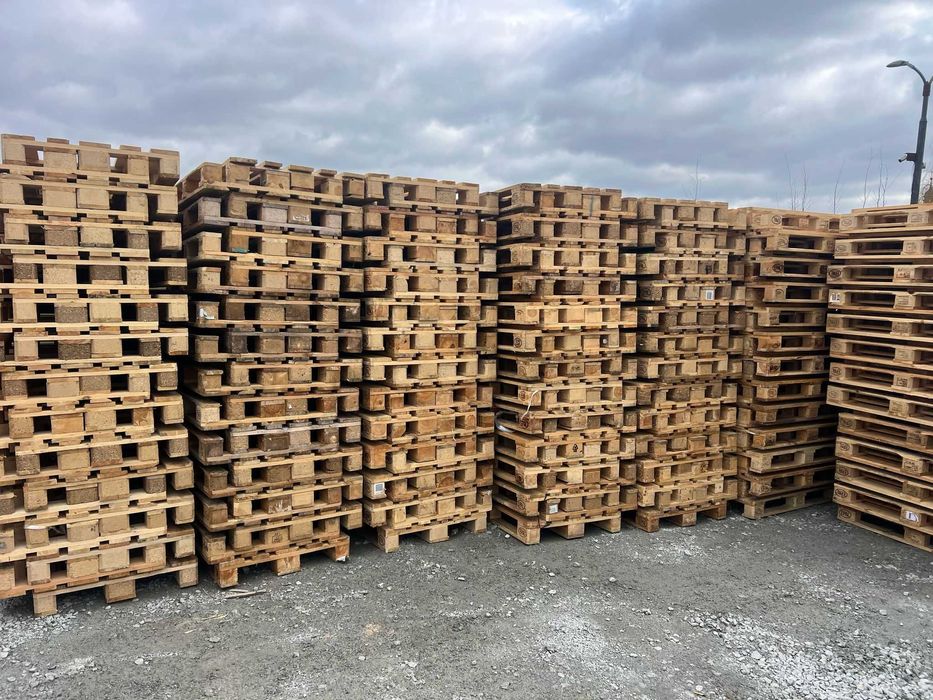 Europaleta 2 gatunek