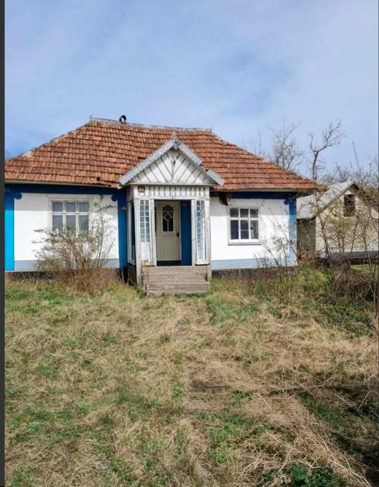 Будинок з землею с. Колінківці