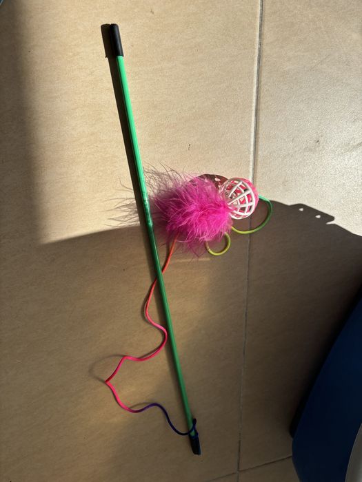 Conjunto de Acessorios Gato