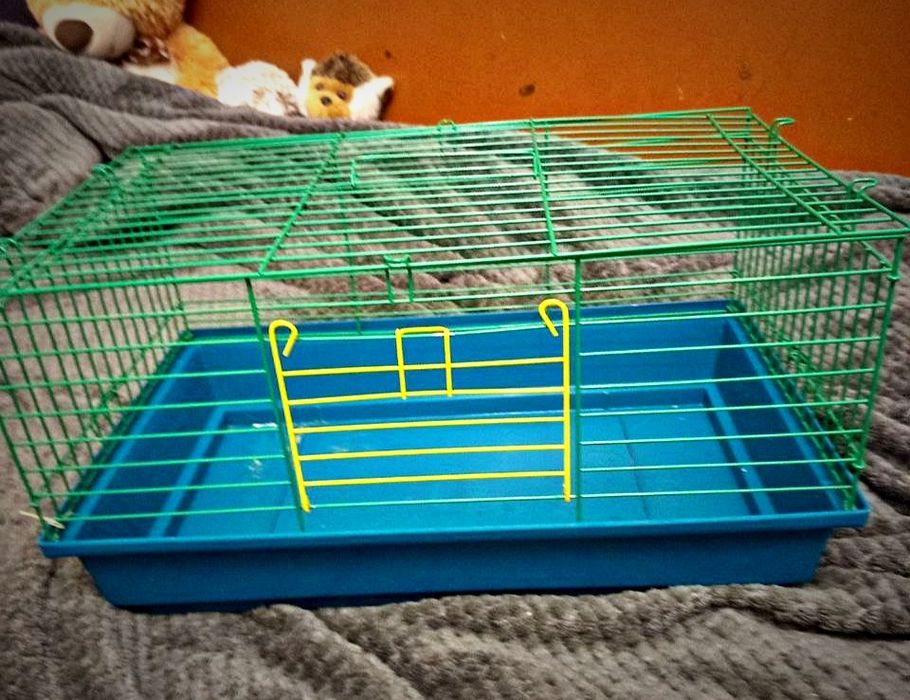 Клітка для гризунів