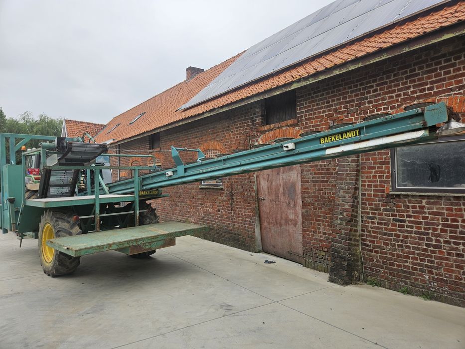 Kombajn baekelandt kalafior , brokuł , rożyczkowanie