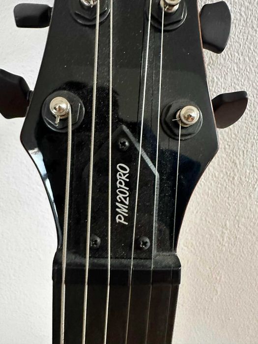Wyjątkowa gitara - Parker PM20Pro - stan bdb