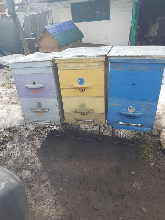 Продаются улья и подставки под улья