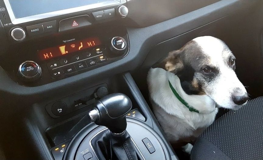 Kia Sportage 2013 VIN Y6DPC813DDL425744 фото оголошення 6 з 6