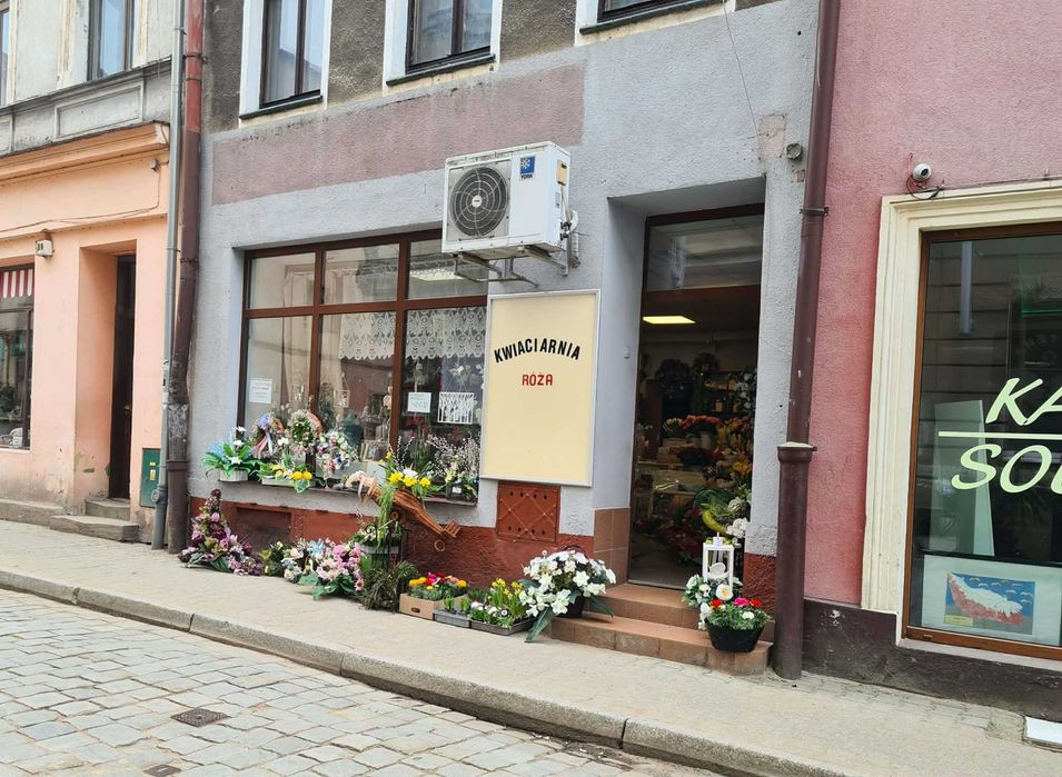 Lokal do wynajęcia w ścisłym centrum Szprotawy, po kapitalnym remoncie, 50m2, klimatyzacja