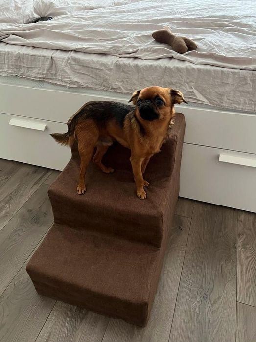 Сходинки для собак  - різна висота