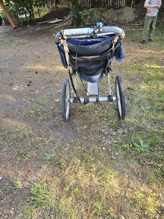 Wózek biegowy KoolStride Kool*Stop