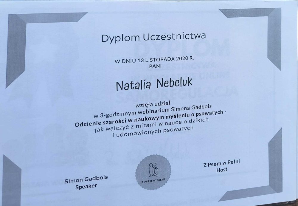 Behawiorysta psów, szkolenie psów