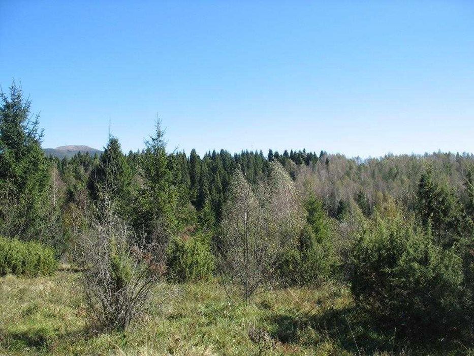 Piękna działka leśna Bieszczady