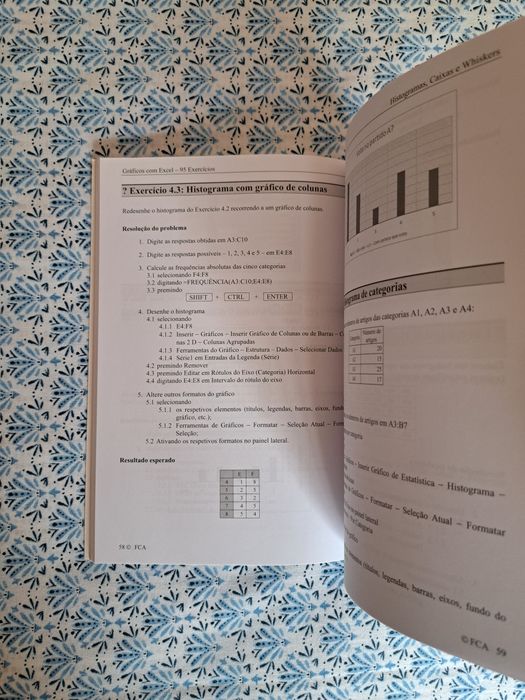 Gráficos com Excel  - Adelaide Carvalho