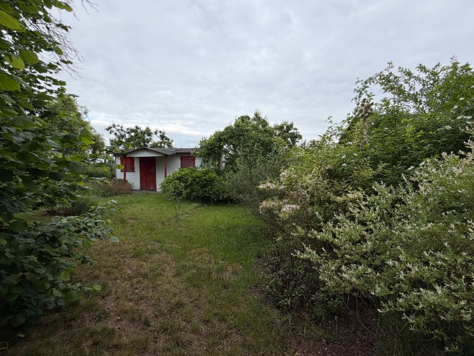 Działka ROD Panorama, Szosa Polska / Nehringa - Widok 2